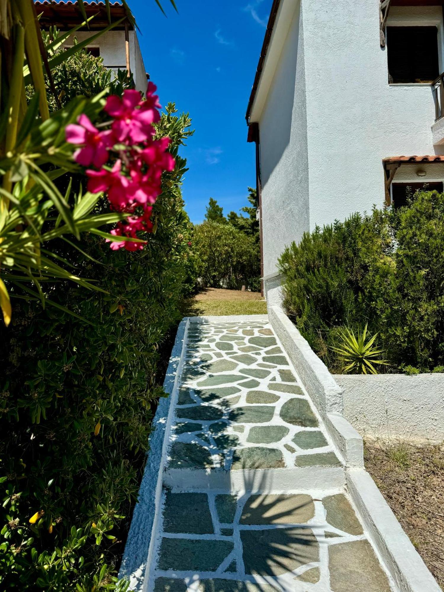 Summer Luxury Villa With Sea View Metamorfosi (Sithonia) Exterior foto